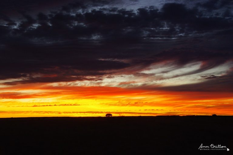 ann britton outback photography blog 15