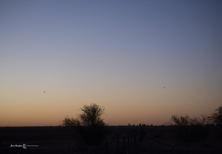 ann britton outback photography blog 31