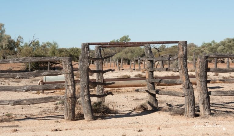 ann britton outback photography blog 4