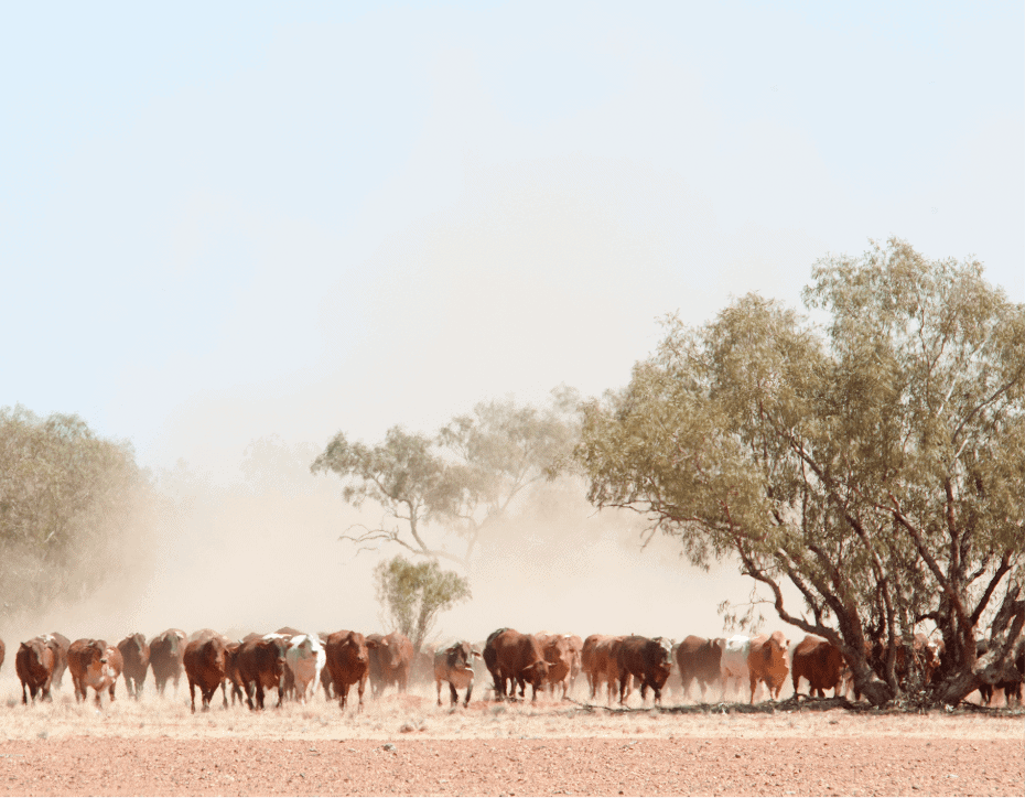australian farming photos