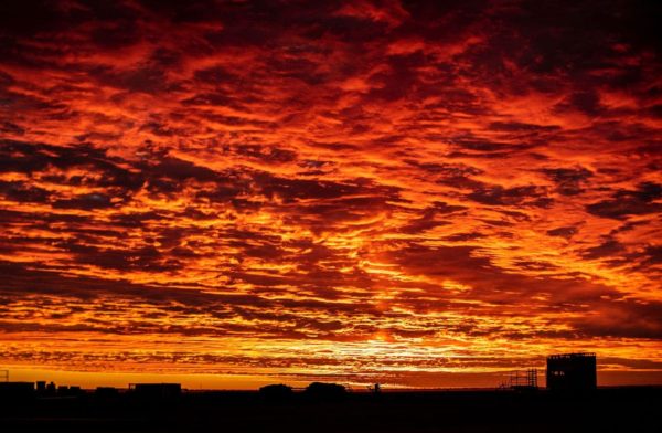 ann britton dawn in outback australia